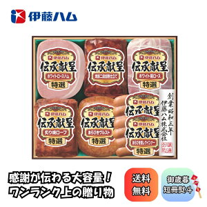 y[J[z `Mtg ɓn GM-560 [ n \[Z[W Ă lߍ킹 Zbg Mtg  蕨 O y v[g 蕨 N[ ① y ~Mtg 