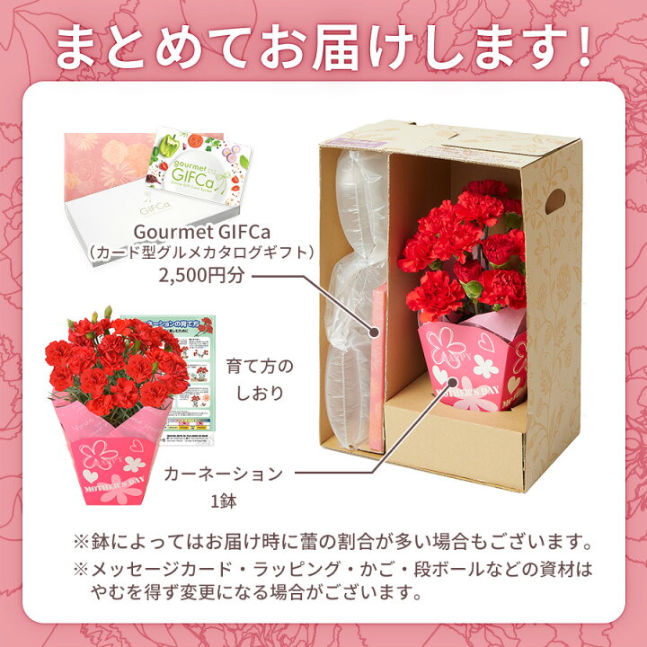 楽天市場 送料無料 母の日ギフト カーネーション グルメギフトセット 4号 鉢植え 母の日 22 ギフト プレゼント スイーツ ランキング お花 生花 花 花束 鉢 母の日花 義母 かわいい おしゃれ セット 5月お届け限定 敬老の日 ギフトのブロア楽天市場支店 楽天市場 送料無料 母の日ギフト カーネーション グルメギフトセット 4号 鉢植え 母の日 22 ギフト プレゼント スイーツ ランキング お花 生花 花 花束 鉢 母の日花 義母 かわいい おしゃれ セット 5月お届け限定 敬老の日 ギフトのブロア楽天市場支店