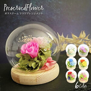 yyVX[p[Z[ N[|zzz KXh[AWg vU[uht[ t[Mtg   Mtg 蕨 KX v[g l O hV bZ[WJ[