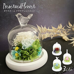 yyVX[p[Z[ N[|zzz KXh[AWg vU[uht[ t[Mtg   Mtg 蕨 KX v[g l O hV bZ[WJ[