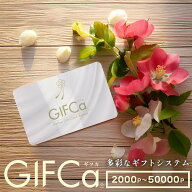 【11日までスーパーセール 最終クーポン使える】 カタログギフト カードタイプ えらべるポイント コース …