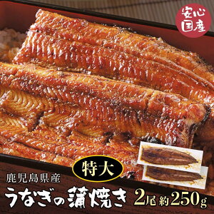 y ӂH׉Q!! z Y 傤Ȃ̊Ă 2 (1250g) [Ȃ Y { Mtg Ă F Y j a  Ђ܂Ԃ K Ⓚ] v[g 