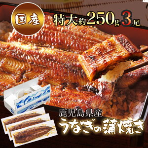 yTN[|zz |CgAbvz Y 傤Ȃ̊Ă 250g × 3pbN [Ȃ Y Mtg Ă F Y  Ђ܂Ԃ Ⓚ O v[g 蕨 a h