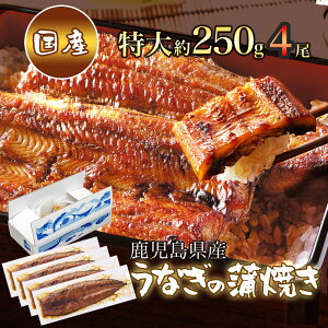 yTN[|zz |CgAbvz Y 傤Ȃ̊Ă 250g × 4pbN [Ȃ Y Mtg Ă F Y  Ђ܂Ԃ Ⓚ O v[g 蕨 a h