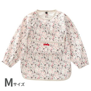 HGv qp  h  |Pbg 킢 炩  xr[Gv XbO O H Gv Hׂڂ |Pbgt O^O Â ۈ牀 1 2