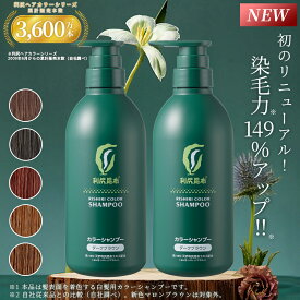 【リニューアル！】白髪用 利尻カラーシャンプー お徳用500ml×2本セット / ヘアカラー 利尻昆布 白髪染め シャンプー ノンシリコン ノンジアミン 無添加 部分染め 全体染め 白髪カバー 色落ち 防止 白髪 髪 男性用 女性用 簡単 楽天ランキング1位
