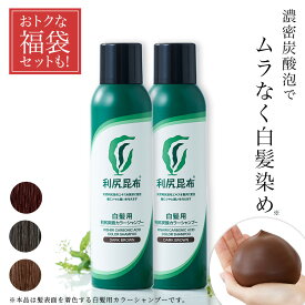 【2026福袋セット】利尻炭酸カラーシャンプー 180g×2本セット ムラなく染まる 濃密泡 / ヘアカラー 利尻昆布 白髪染め シャンプー 無添加 植物由来 カラーリング 低刺激 炭酸 敏感肌 ノンシリコン 補修 臭わない ヘア ケア 全体染め 正規品