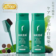 白髪用 利尻ヘアカラートリートメント 200g×2本セット【毛染めブラシ(馬毛緑)付き】ヘアカラー 利尻昆布…