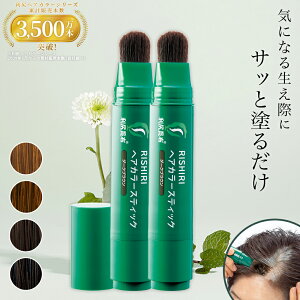 白髪用 利尻ヘアカラースティック 20g×2本セット 気になる生え際にサッと塗るだけ 筆ペンタイプ 白髪染め 無添加 植物由来 カラーリング ヘアカラー 頭皮に優しい 低刺激 敏感肌 ノンシリコ