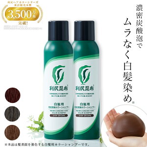 利尻炭酸カラーシャンプー 180g×2本セット ムラなく染まる 濃密泡 白髪染め 無添加 植物由来 カラーリング ヘアカラー シャンプー 低刺激 炭酸 敏感肌 ノンシリコン 補修 臭わない ヘア ケア