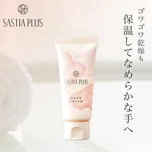 TXeBA vX nhN[(50g) nhN[ qA_Na nR[Q L𐮂 O``_2K AgC  e eN[ {fBPA r  