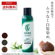 【4/18限定 P5倍 & 送料無料】利尻炭酸カラーシャンプー 180g ムラなく染まる 濃密泡 / ヘアカラー 利尻…