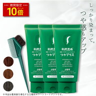 【今だけ P10倍】白髪用 利尻ヘアカラートリートメント つやプラス 150g×3本セット 毛染めブラシ（馬毛…