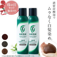【母の日限定セット販売中】利尻炭酸カラーシャンプー 180g×2本セット ムラなく染まる 濃密泡 / ヘアカ…