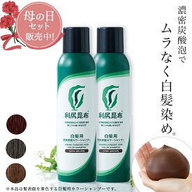 【母の日限定セット販売中】利尻炭酸カラーシャンプー 180g×2本セット ムラなく染まる 濃密泡 / ヘアカラー 利尻昆布 白髪染め シャンプー 無添加 植物由来 カラーリング 低刺激 炭酸 敏感肌 ノンシリコン 補修 臭わない ヘア ケア 全体染め 正規品