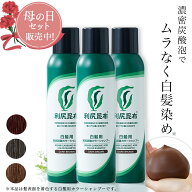 【母の日限定セット販売中】利尻炭酸カラーシャンプー 180g×3本セット ムラなく染まる 濃密泡 / ヘアカ…