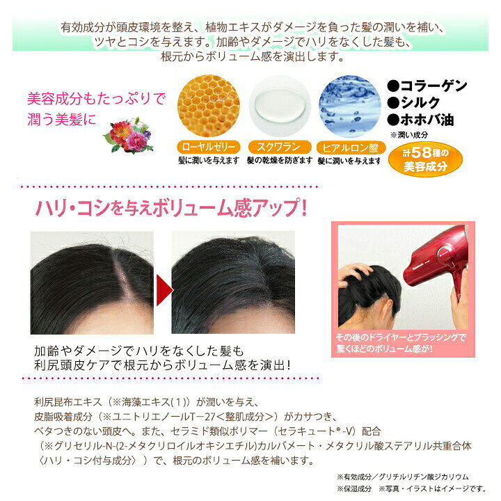 楽天市場 無添加 薬用 利尻頭皮シャンプー コンディショナーセット しっかり洗ってフケ かゆみを防ぐ しなやかにボリューム感のある髪に導く 天然利尻昆布エキス 裂毛 切毛 枝毛を防ぐ 毛髪 頭皮の汗臭を防ぐ ピュール サスティ Blondie Blond