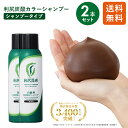 利尻炭酸カラーシャンプー 180g×2本セット ムラなく染まる 濃密泡 白髪染め 無添加 天然由来 植物由来 カラーリング …