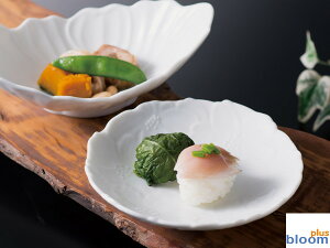 Z P MtgΏۊO ԒXM(Pijya14.5x3cmzy,M,ԁzybloom-plusz