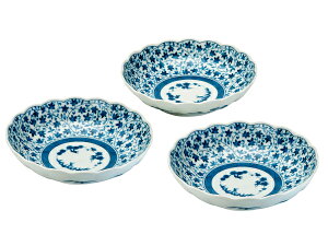 Z aH Èɖ [3g 20D5cm T_{E t ԙz u[