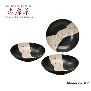 Z ԓ [M 21cm pX^M J[Mɂg₷