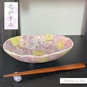 Ԃݒ@sN y21x15x5.5cmzZ  made in japan bloomplus