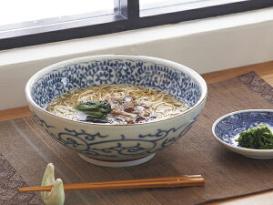 yPizt˔ ^R 21cm [ǂԂya21x8cmzyBowl noodle madeinjapanzytGςzZ P MtgΏۊO ybloom-plusz