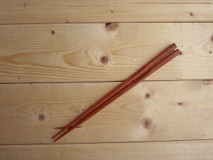 y䂤pPbgΉ 10V܂Łzؒ̔ Pi 22cmybloom-plusz