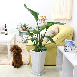 Xg`AiXg`AjEI[KX^ 7 zCgXNGA픫 G^Cvb^TCY̊ϗtAbu[~OXP[v