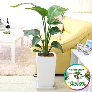 Xg`AiXg`AjEI[KX^ 7 zCgXNGA픫 Xg[g y̕\ʂ̓Ebh`bvb^TCY̊ϗtAbu[~OXP[v