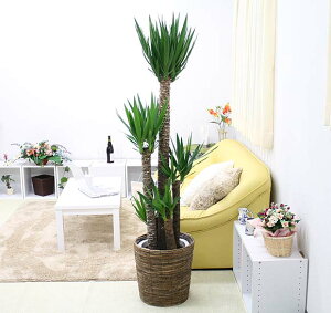 bJiN̖؁j10+uEoXPbgJo[ y̕\ʁFEbh`bvbϗtA u[~OXP[v