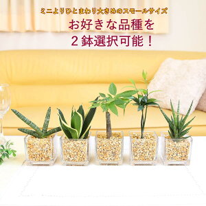 ygȂϗtA X[TCY̊ϗtA [ICgAEL[u` 2Zbg bk͔| nChJ`[ C{[NX^b~jϗtAЂƂ܂傫߃TC