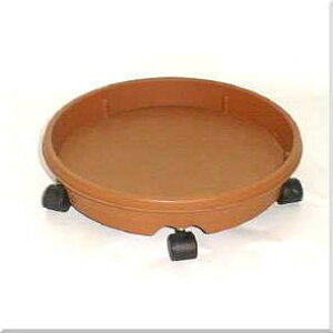 LX^[tM12piFjbϗtA u[~OXP[v