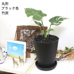 胂XeE^CRXe[V 5 vX`bN+Mt 1bϗtAEťĂȂꍇ܂BbtCEb낢IׂIyu[~OX