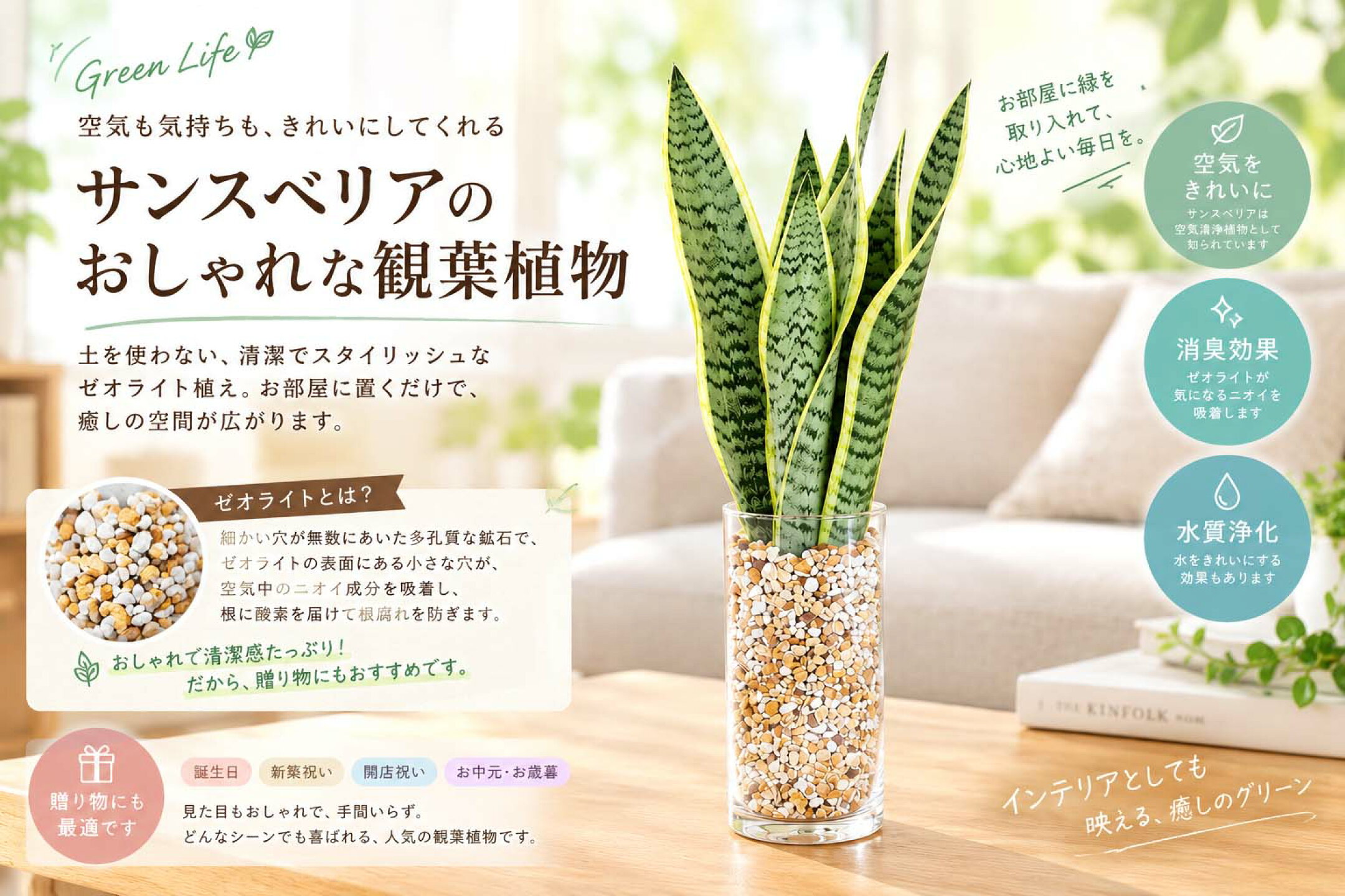 土を使わない観葉植物 サンスベリア・ガラス植え 4,999円