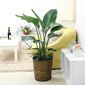 Xg`AiXg`AjEI[KX^ 8+oXPbgJo[bϗtA u[~OXP[v