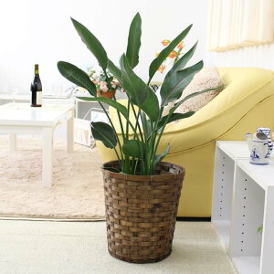 Xg`AiXg`AjMl 8+oXPbgJo[bϗtA u[~OXP[v