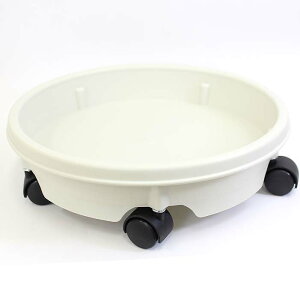 LX^[tM12piAC{[zCgFjbϗtA u[~OXP[v