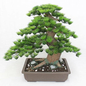 yH|~́zp@12ifbNXjyBonsai of imitationzyBonsai of artificialz@ll