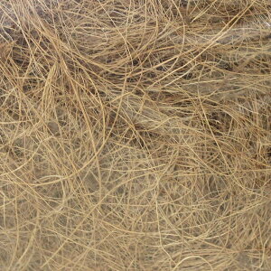 V̑@ہiZCj Ɩp 250bgi4kgj FFuE yϗtẢρډB^^}`Oށzbu[~OXP[v