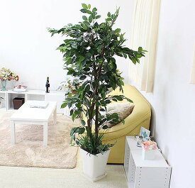 楽天市場 ブルー 蛍光灯 種類 植物 ベンジャミン 花 観葉植物 花 ガーデン Diy の通販