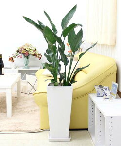 Xg`AiXg`AjEMl 9 zCg픫 Z^CvbϗtA u[~OXP[v