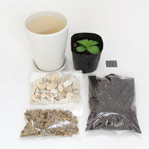 q󑐁icjv`͔|Zbg zCg^Cv {ϐ΁{Av1{tb^TCY̊ϗtAbϗtA u[~OXP[v