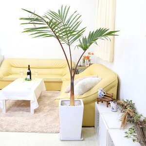 gbNV 10 zCg픫 Xg[gbϗtA u[~OXP[v