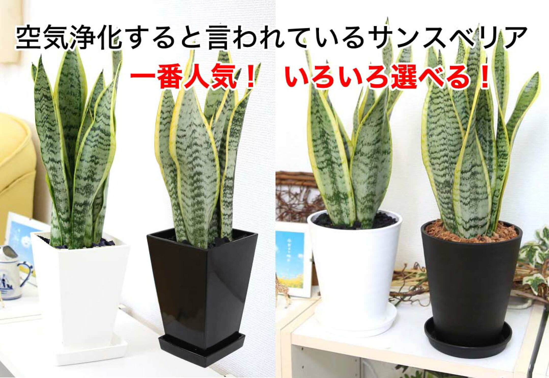 【2,999円～】鉢の形・鉢色・化粧の材料・鉢の材質など選択