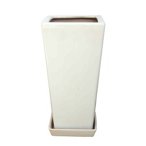 ホワイトスクエア陶器鉢(セミロング)Sサイズ 7号+陶器鉢皿セット (+鉢底石+鉢底ネットサービス)|観葉植物 ブルーミングスケープ