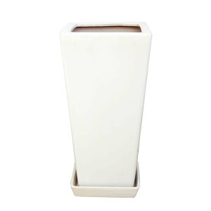 zCgXNGA픫iZ~OjM7TCY 7{픫MZbg i{+lbgT[rXjbϗtA u[~OXP[v