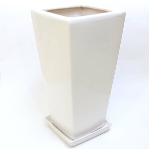 zCgXNGA픫iZ~OjM7TCY 7{픫MZbg i{+lbgT[rXjbϗtA u[~OXP[v