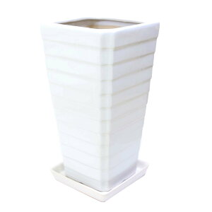 zCgXNGA픫 G^Cvij{퐻 M̃Zbgi{+lbgT[rXjbϗtA u[~OXP[v