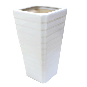 zCgXNGA픫 G^Cviji{+lbgT[rXjMȂbϗtA u[~OXP[v